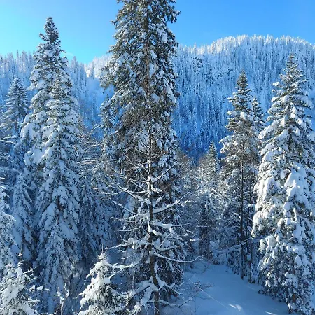 Snjezna Carolija Lux *